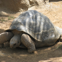 фото из отзыва ID 567476