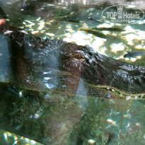 фото из отзыва ID 567476