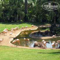 фото из отзыва ID 567476