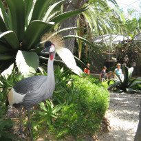 фото из отзыва ID 567476