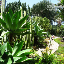 фото из отзыва ID 567476