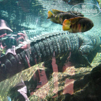 фото из отзыва ID 567476