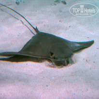 фото из отзыва ID 567476