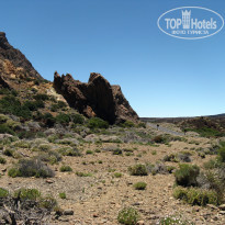 фото из отзыва ID 567476