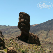 фото из отзыва ID 567476