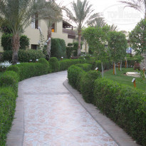 фото из отзыва ID 567062