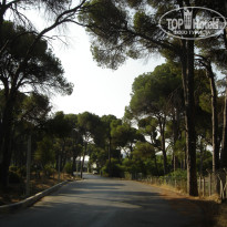 фото из отзыва ID 567255