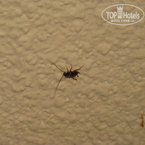 фото из отзыва ID 567476