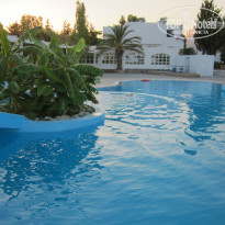 фото из отзыва ID 567843