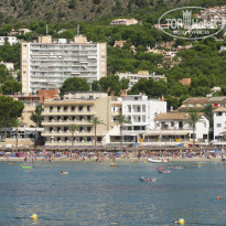 фото из отзыва ID 567904