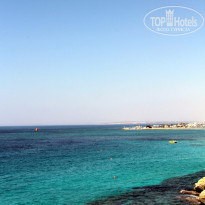 фото из отзыва ID 568020