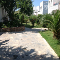 фото из отзыва ID 568103