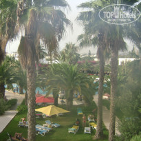 фото из отзыва ID 568368