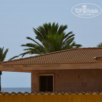 фото из отзыва ID 568446