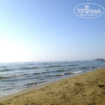 фото из отзыва ID 568718