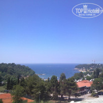 фото из отзыва ID 569717