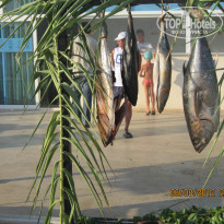 фото из отзыва ID 569792