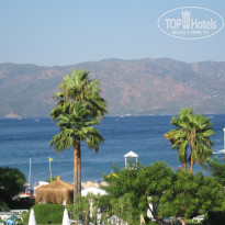 фото из отзыва ID 569877