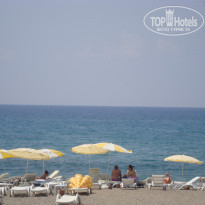 фото из отзыва ID 570080