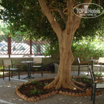 фото из отзыва ID 570183