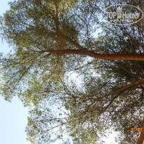 фото из отзыва ID 570289