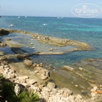 фото из отзыва ID 570289