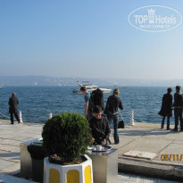 фото из отзыва ID 570658