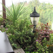 фото из отзыва ID 570658