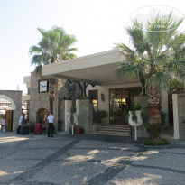 фото из отзыва ID 570689