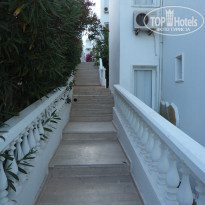 фото из отзыва ID 571004