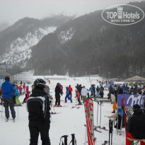 фото из отзыва ID 571193