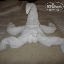 фото из отзыва ID 571283