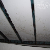 фото из отзыва ID 571608