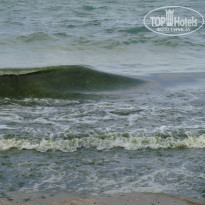 фото из отзыва ID 571854