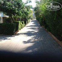 фото из отзыва ID 571867