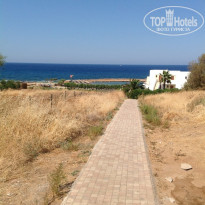 фото из отзыва ID 571867