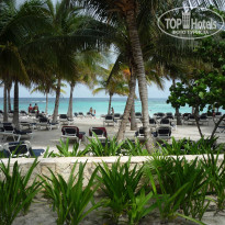 фото из отзыва ID 571248