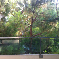 фото из отзыва ID 571255