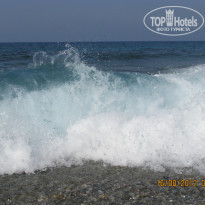 фото из отзыва ID 572042