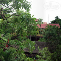 фото из отзыва ID 572354