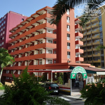 фото из отзыва ID 572374