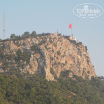 фото из отзыва ID 572410