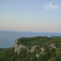 фото из отзыва ID 572410