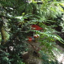 фото из отзыва ID 572439