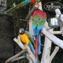 фото из отзыва ID 572522