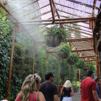 фото из отзыва ID 572522