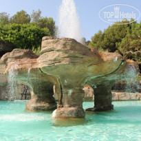 фото из отзыва ID 572522