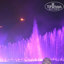 фото из отзыва ID 572317