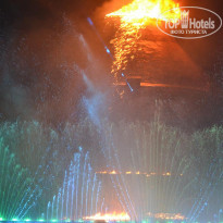 фото из отзыва ID 572317