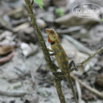 фото из отзыва ID 572927